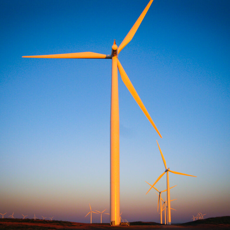 Field of wind turbines during sunset