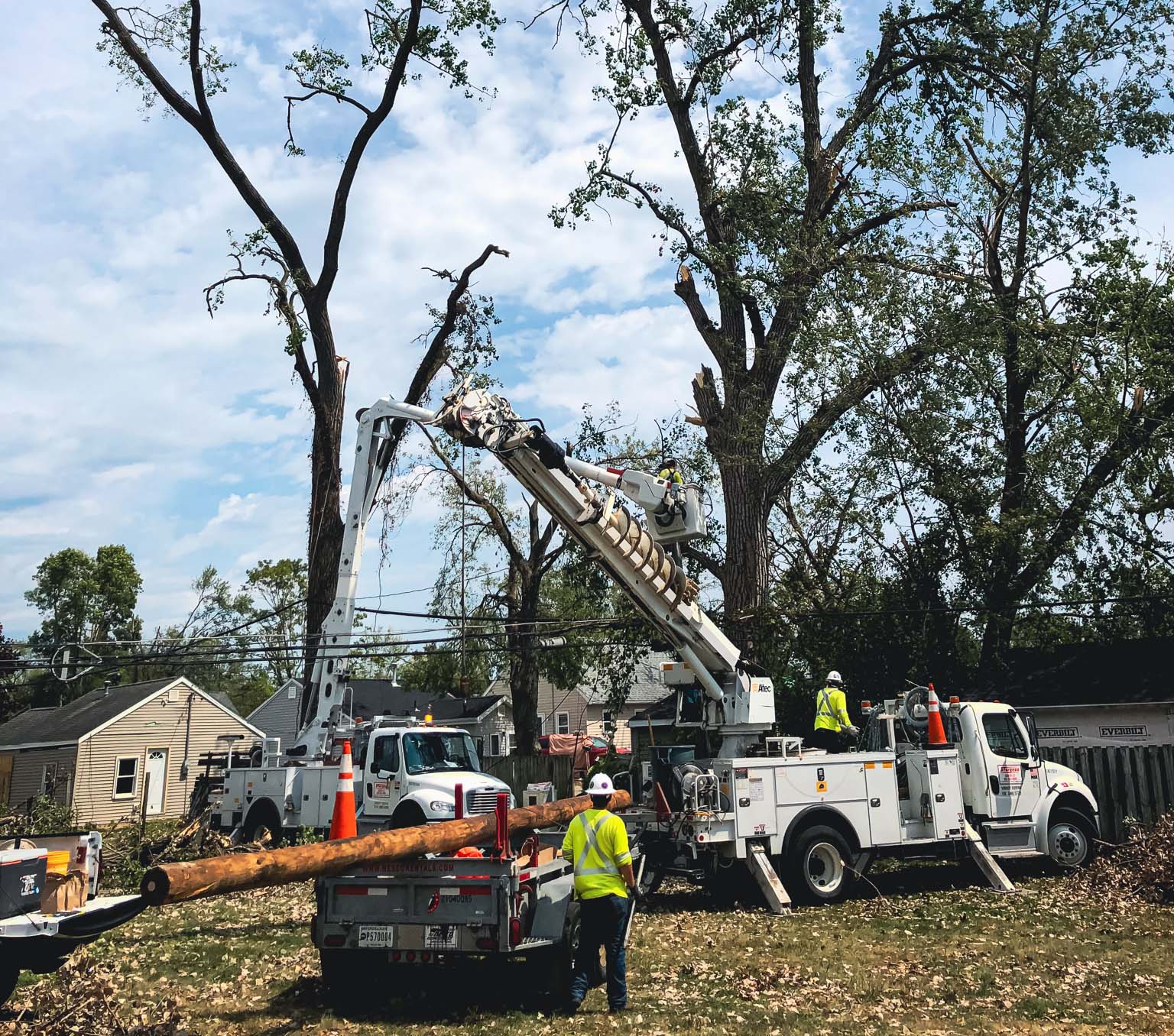Restoration workers collecting debris from a damaged tree