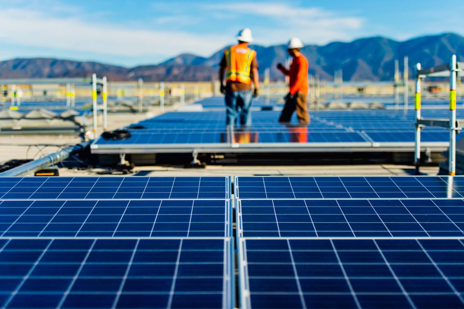 Two workers talking in a field of solar panels