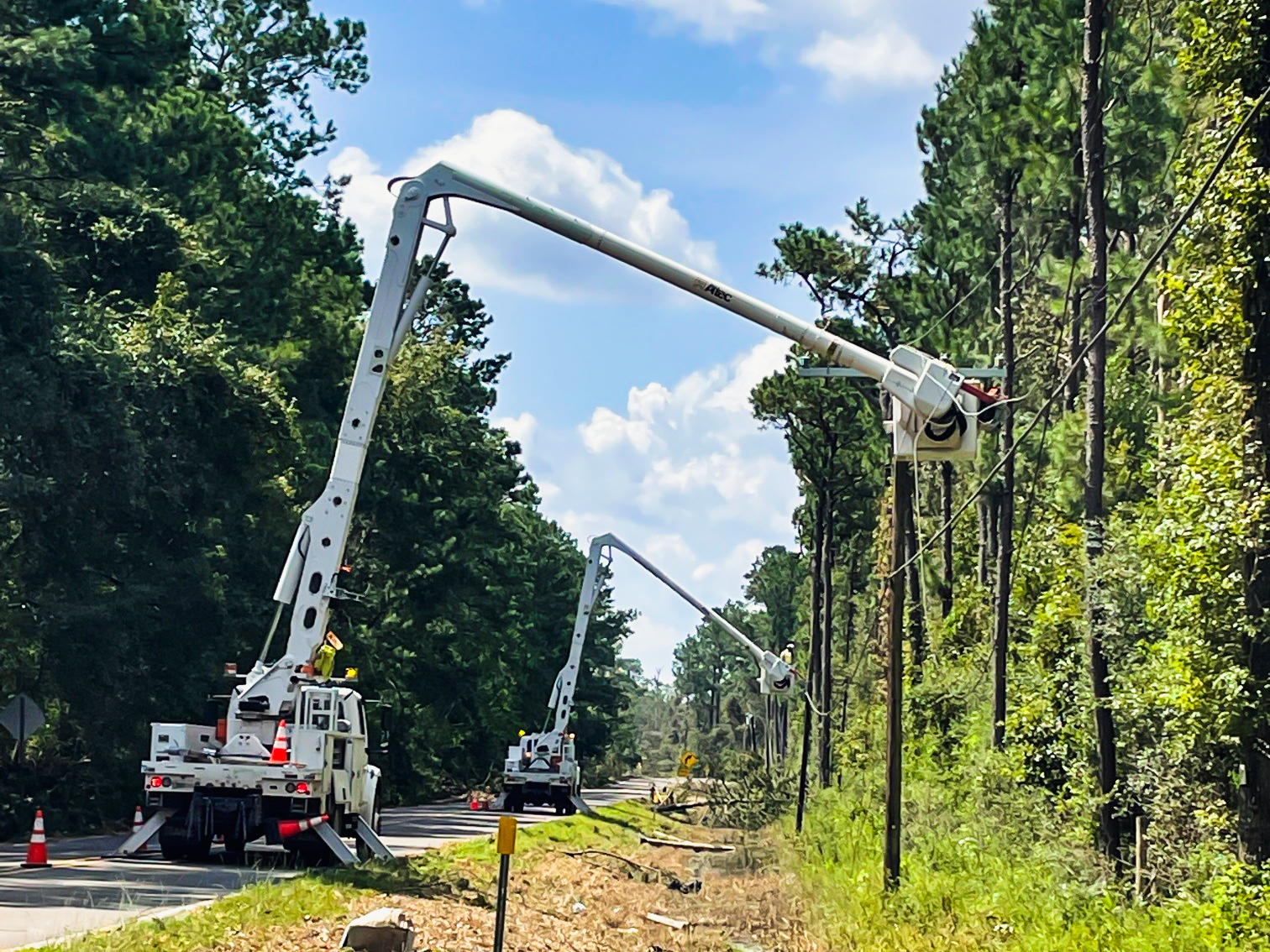 Two lineman work from lifted bucket trucks on power line poles along a heavily wooded highway
